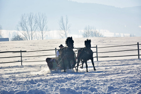 雪橇拉马在冬季室外的人