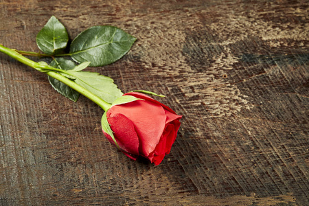 一张红玫瑰在粗糙的木桌上, 情人节快乐