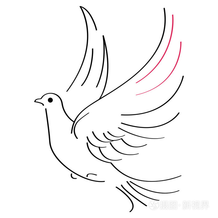 鸽子的简单画法图片