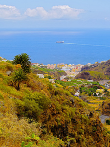 la palma de las 妮薇丝巴兰科