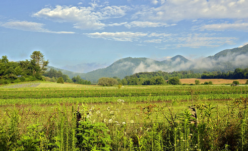 山和农场