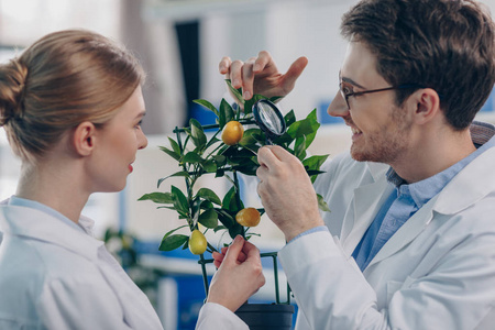 用放大镜和植物生物学家