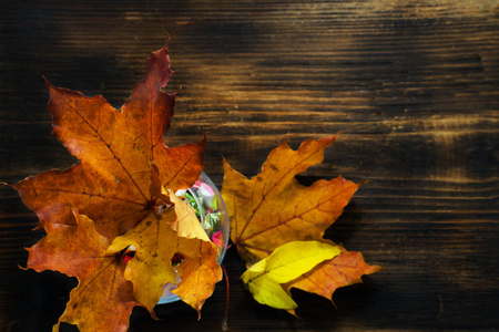 秋天的背景落叶在木板上。秋天枫叶