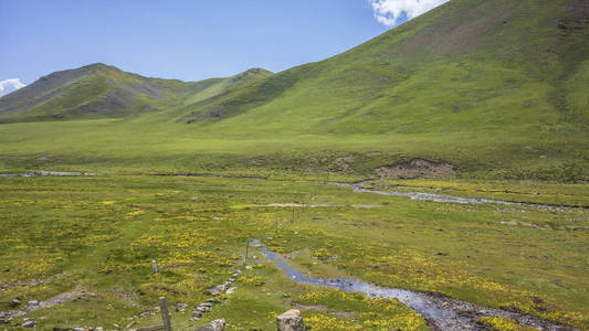 青海祁连附近的山地和草地景观