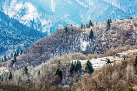 斯洛伐克冬山落叶和针叶林