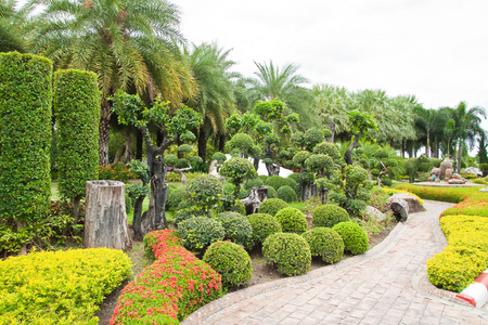 在花园里行走路径和矮树照片