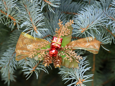 圣诞树绿色树枝上的玩具和装饰品