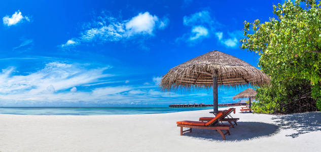 夏季日在马尔代夫热带海滩上的木制日光浴和雨伞全景