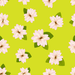 春天的樱花。与日本的樱花的无缝模式。在绿色背景上的粉红色花朵。Romanticvector 图