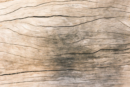纹理老木头, 肮脏的表面木头背景, 硬木