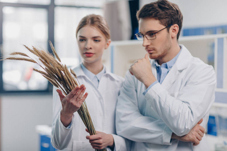 生物学家与实验室麦穗图片