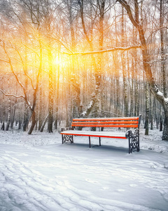 公园的长椅上和被大雪覆盖的树木