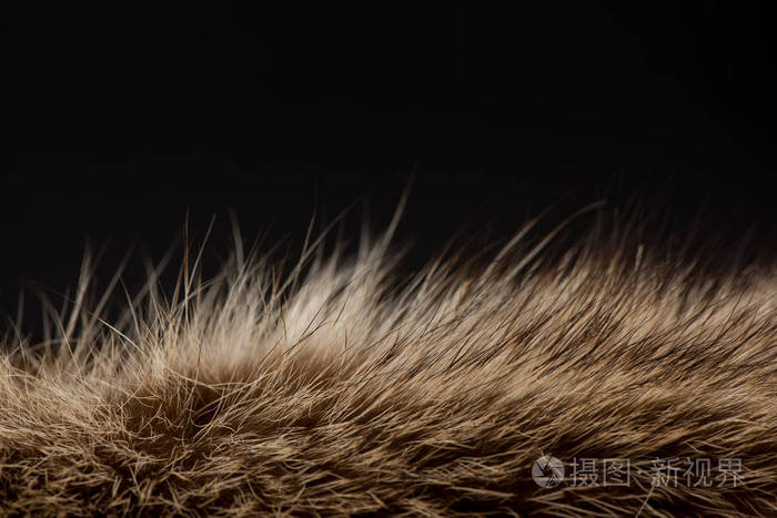 动物毛发特写毛皮质地