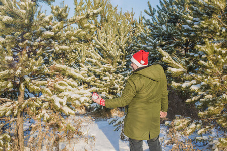 middleage 男子装饰圣诞树和穿着红色的圣诞帽和绿色夹克与遮光罩