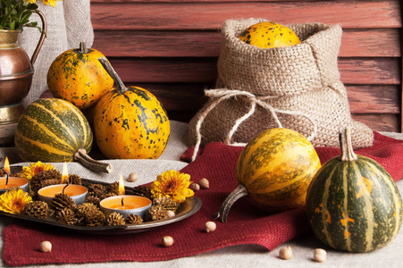 南瓜和菊花的花图片