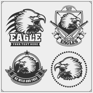 老鹰纹章徽章。标签 标志和设计元素的体育俱乐部