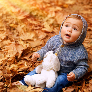 在秋天的森林中的小男孩