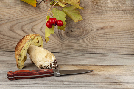 蘑菇与一把刀子在木背景在秋天设置