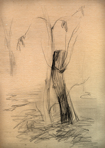 一棵树的素描复古纸