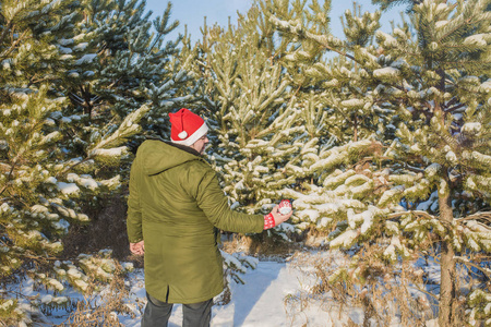 middleage 男子装饰圣诞树和穿着红色的圣诞帽和绿色夹克与遮光罩
