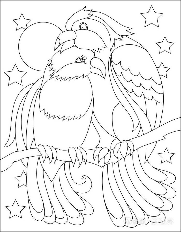 黑白页面着色.画几只小鸟.儿童和成人工作表.矢量图像