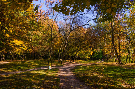 秋季阳光明媚的城市公园