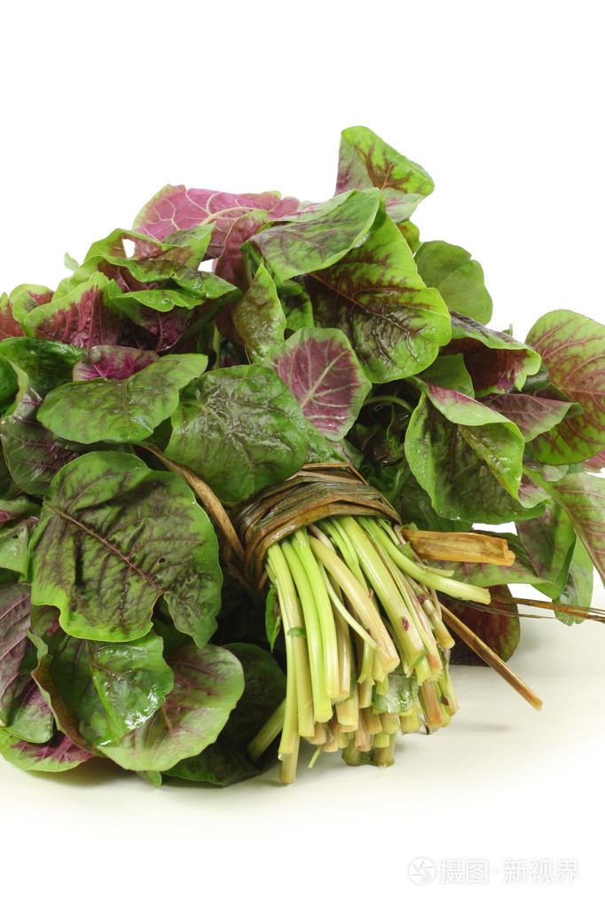 在白色背景上的苋菜