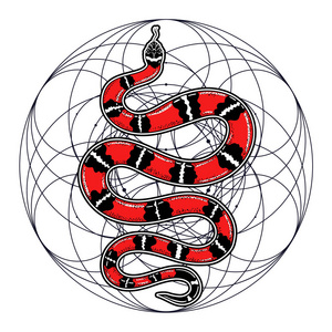 纹身蛇图案女图片