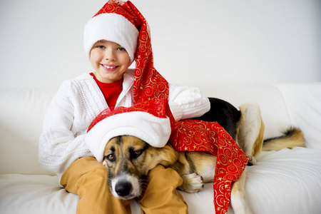 圣诞节与狗