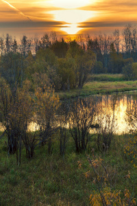 初秋的森林湖日出