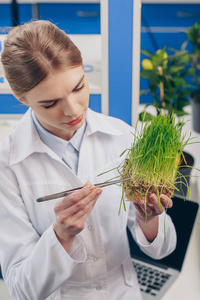 草在实验室工作的生物学家