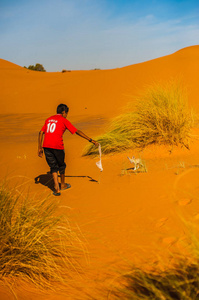 这个男孩正试图在摩洛哥的梅尔祖卡沙漠里捉到一只狐狸沙漠 Fennec。