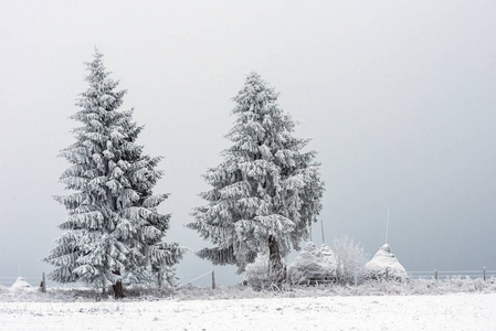 圣诞节和新年背景与冬天树在被雪覆盖的山