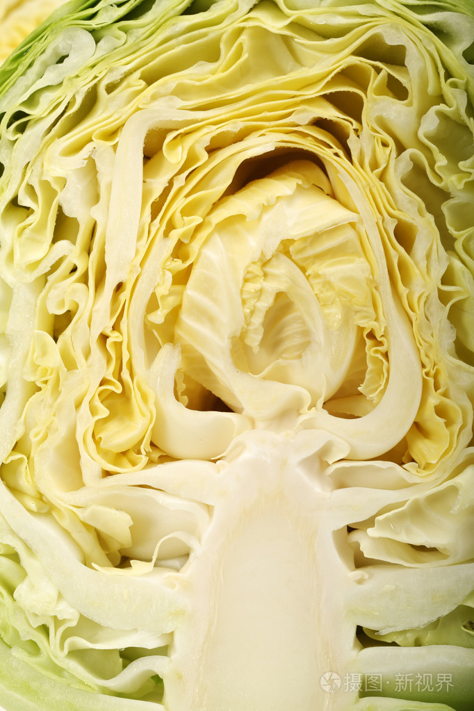 在白色背景上切白菜