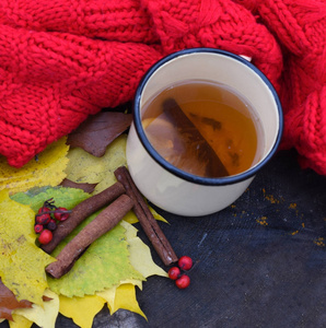 一张户外照片, enamalled 杯热茶秋叶红色针织围巾苹果和肉桂树枝