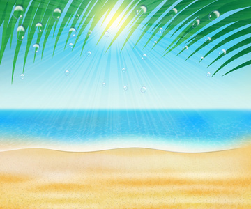 夏天海沙滩与棕榈树