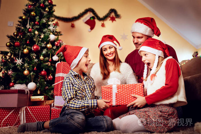 幸福的家庭,在圣诞节假期