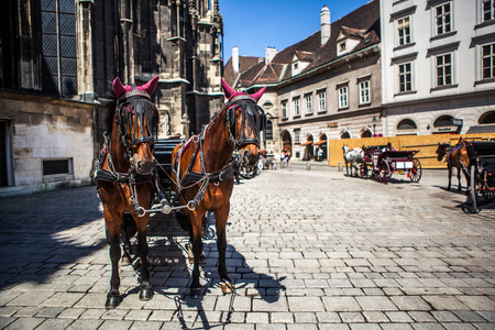 历史悠久的欧洲中心广场上的马匹和马车