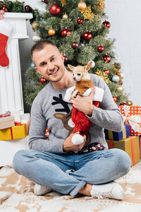 微笑的人持有可爱的吉娃娃狗与圣诞树和礼物背景