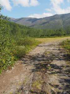 在山的路