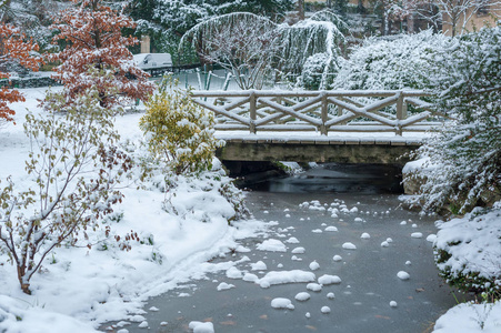 冬季冰雪下的冰冻溪流和小桥图片