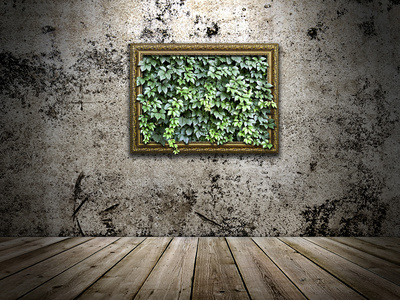 石头墙用里面的绿色叶子上的帧