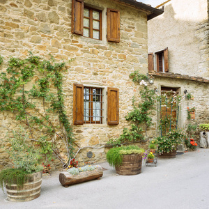 美丽的花朵和灌木在石墙前的一个村庄的中世纪起源。Volpaia, 托斯卡纳, 意大利