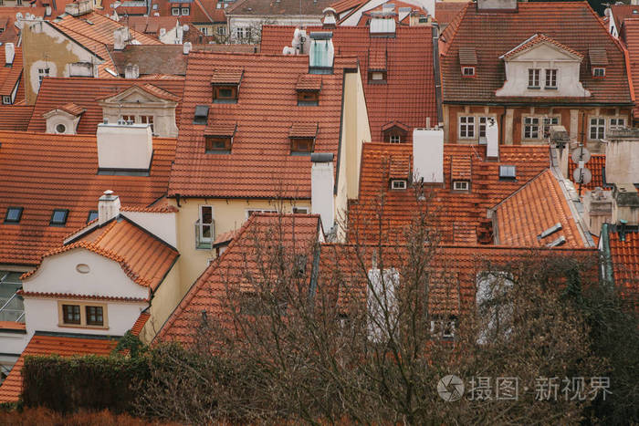 顶视图-在布拉格旧楼的红砖屋顶.欧洲