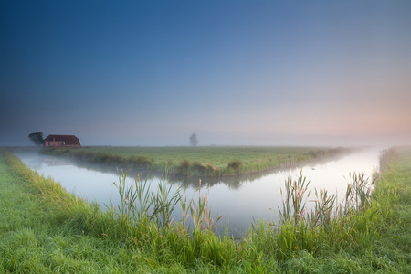 河上冷静夏天雾的早晨