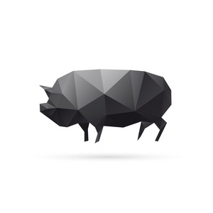 孤立的猪野猪抽象孤立在白色背景上照片