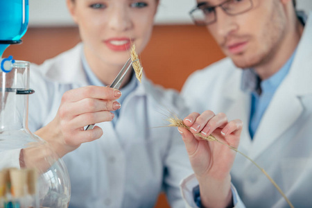 在实验室工作的生物学家