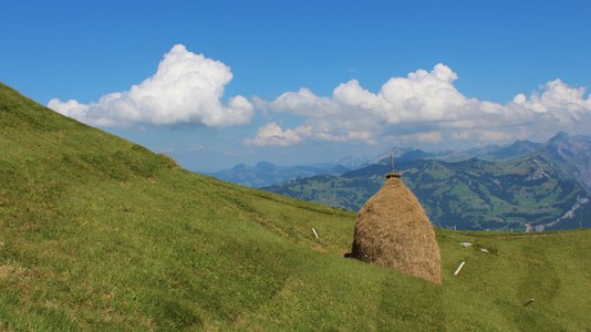 干草堆 绿草地和夏云