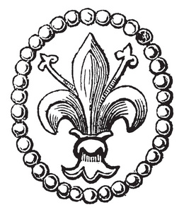 芙蓉已经被用来代表法国皇室, 复古线条画或雕刻插图