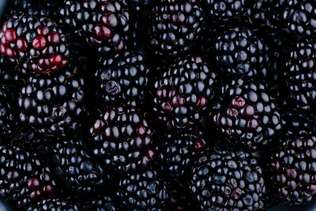 新鲜成熟有机黑莓
